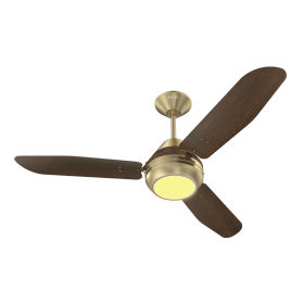 Ceiling Fans